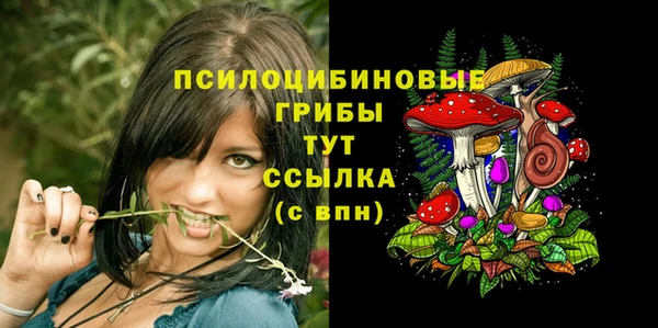 дурь Армянск